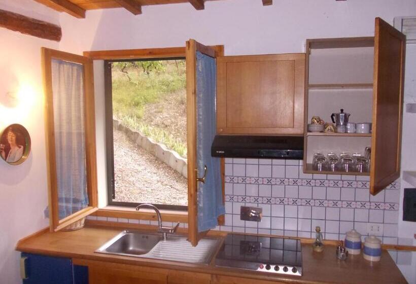 호텔 Agriturismo Lucciano