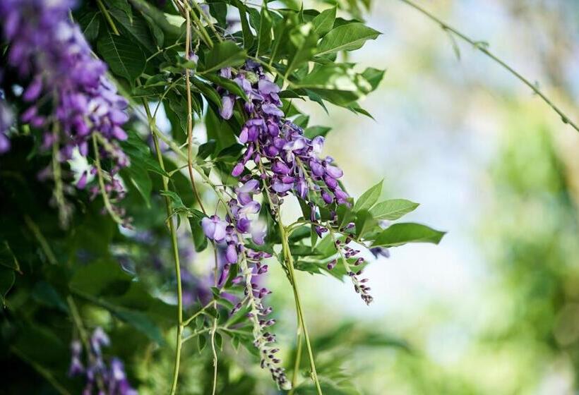 호텔 Casas De Santa Rita