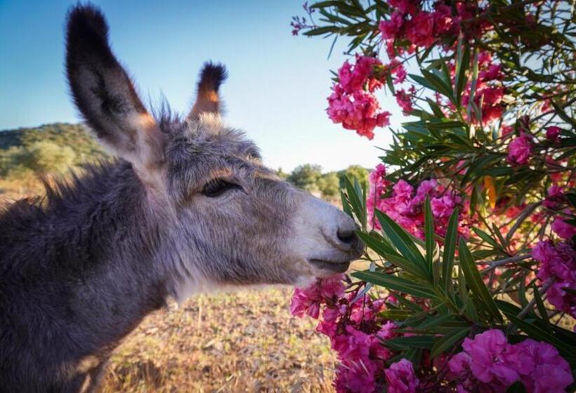 호텔 Casas De Santa Rita