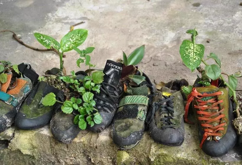 ペンション Abrigo De Montanha Xique Xique