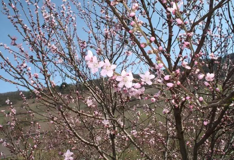 Majatalo Weingut Brennerei Gästehaus Emil Dauns