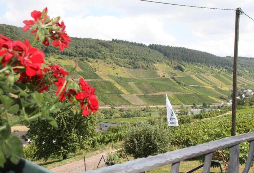 פנסיון Weingut Brennerei Gästehaus Emil Dauns