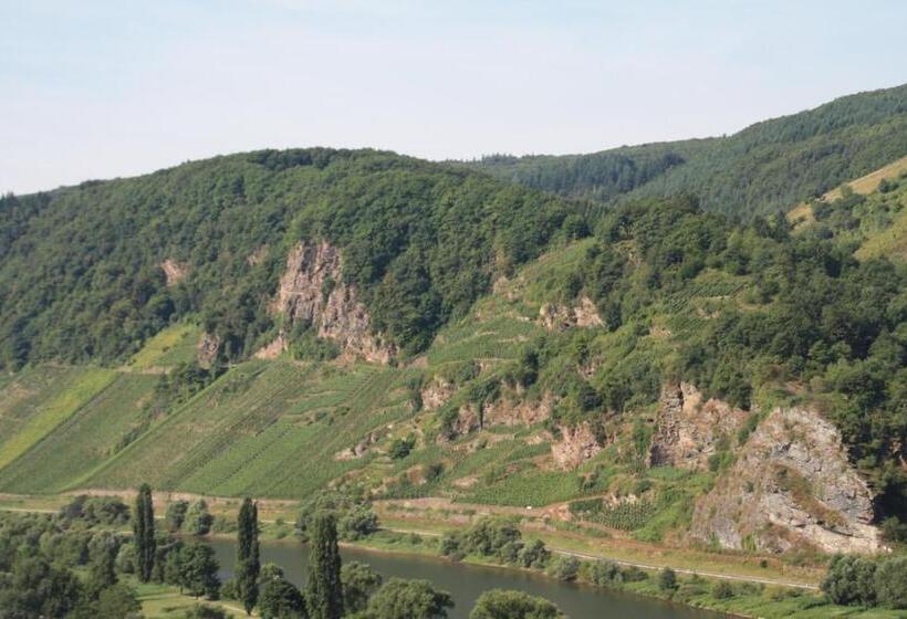 פנסיון Weingut Brennerei Gästehaus Emil Dauns