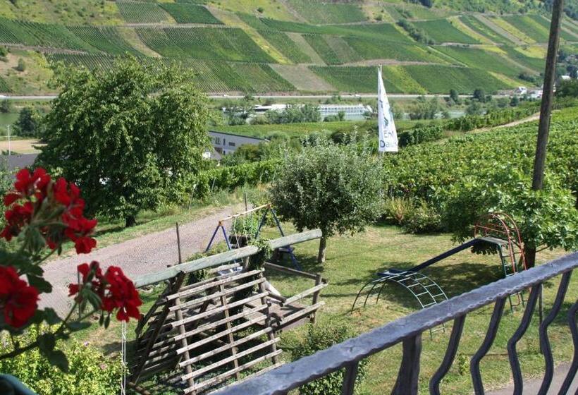 פנסיון Weingut Brennerei Gästehaus Emil Dauns