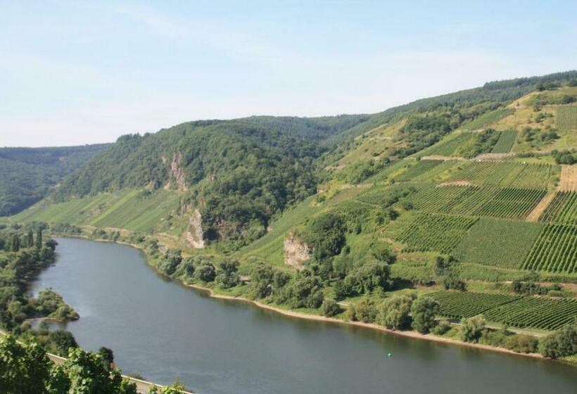 פנסיון Weingut Brennerei Gästehaus Emil Dauns