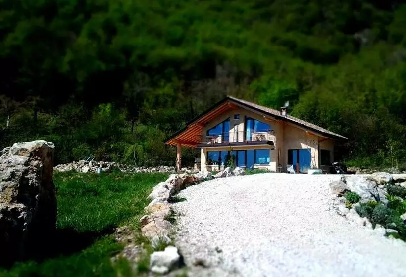 B&b Asinochevola