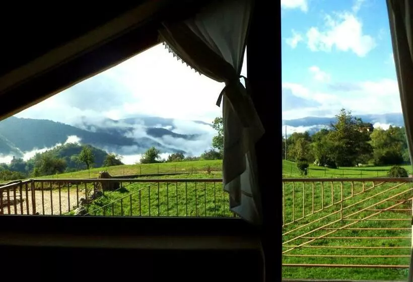 B&b Asinochevola