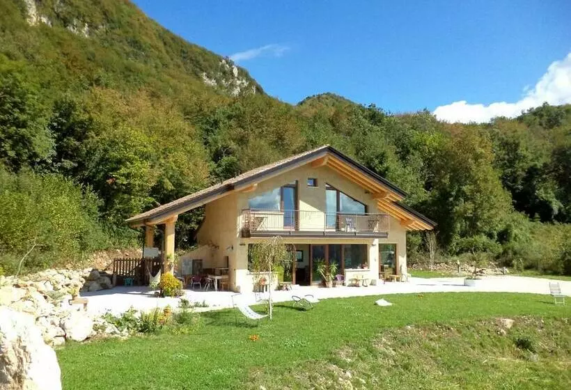 B&b Asinochevola