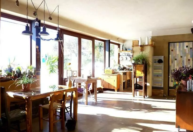 B&b Asinochevola
