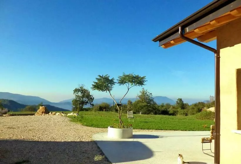 B&b Asinochevola