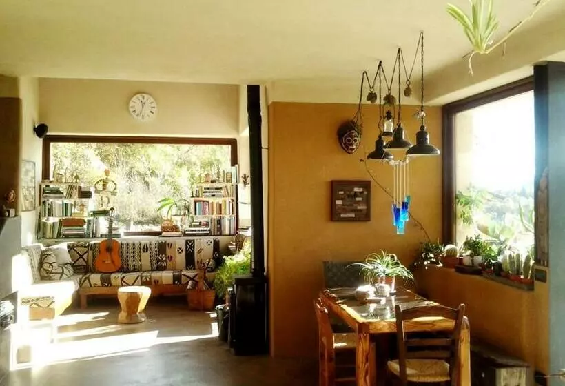 B&b Asinochevola