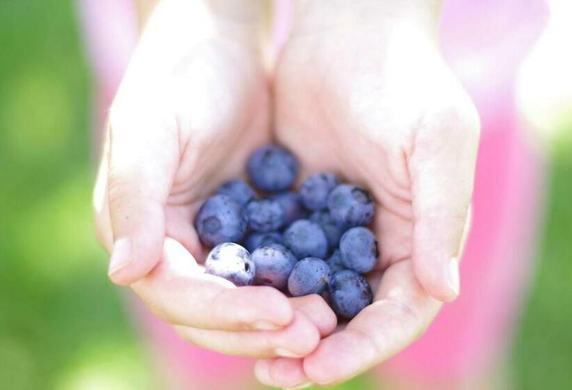 צימר La Lumaca Nel Pozzo