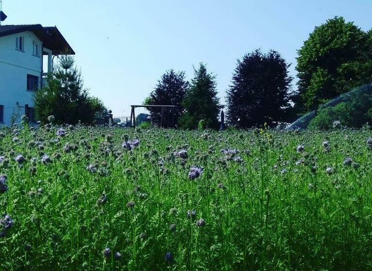 צימר La Lumaca Nel Pozzo