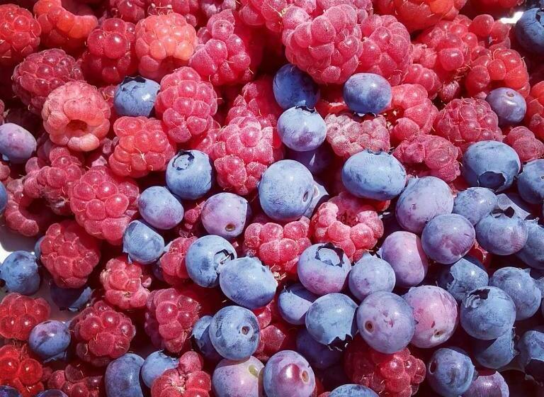 צימר La Lumaca Nel Pozzo