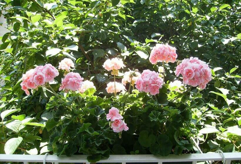 住宿加早餐  Il Barucin