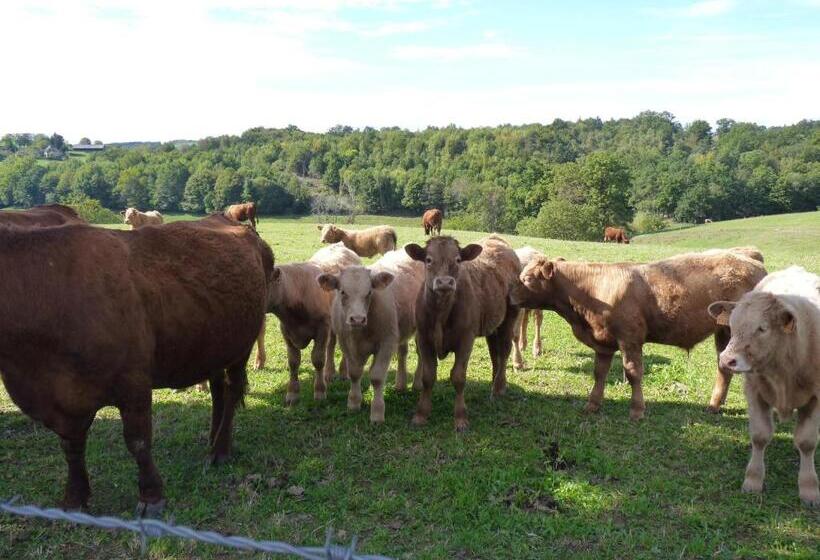 ベッドアンドブレックファースト Chambres D Hôtes Domaine De La Grangeotte