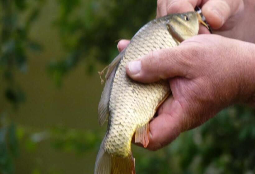 ベッドアンドブレックファースト Chambres D Hôtes Domaine De La Grangeotte