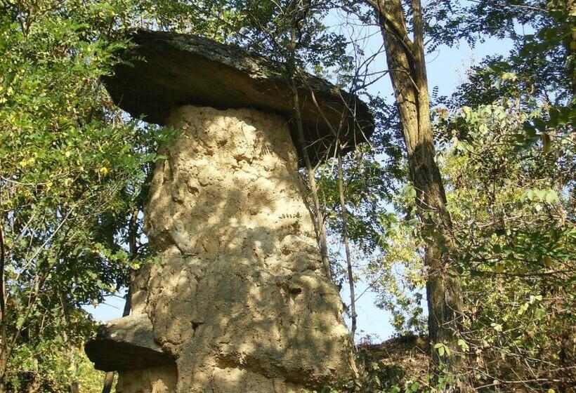 住宿加早餐  Il Barucin