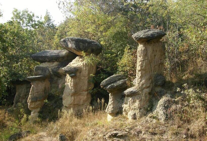 住宿加早餐  Il Barucin