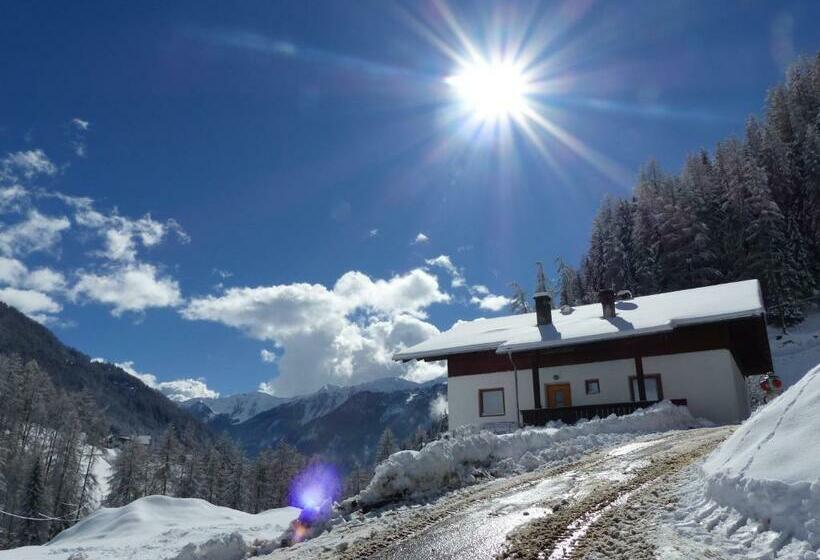 Отель Reden Hof