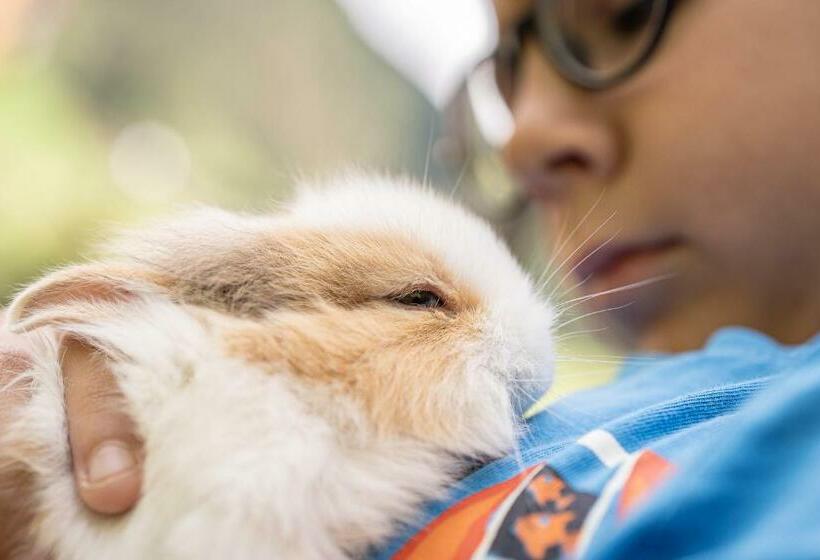 Отель Reden Hof