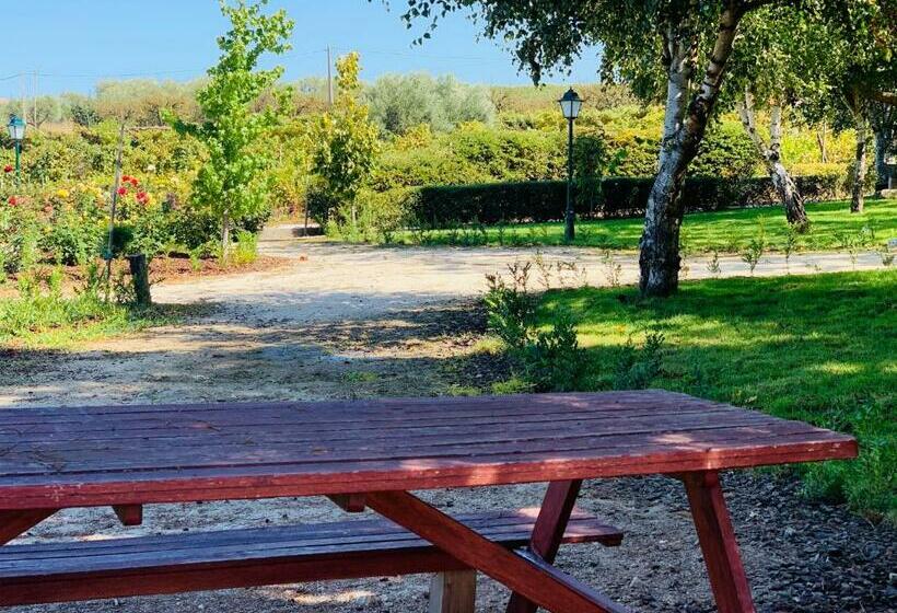 膳宿费 Casa De Sao Miguel Douro