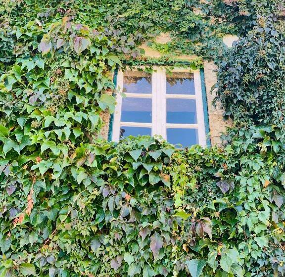 膳宿费 Casa De Sao Miguel Douro