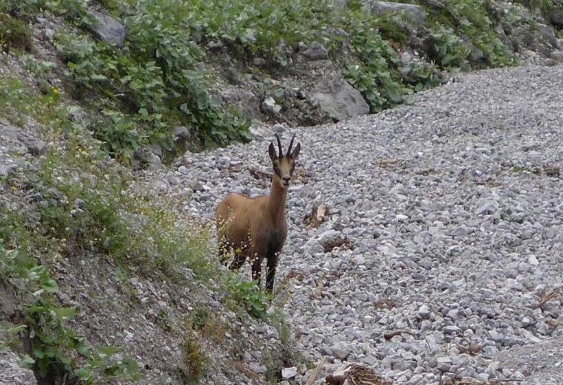 ペンション Gästehaus Arnspitzblick