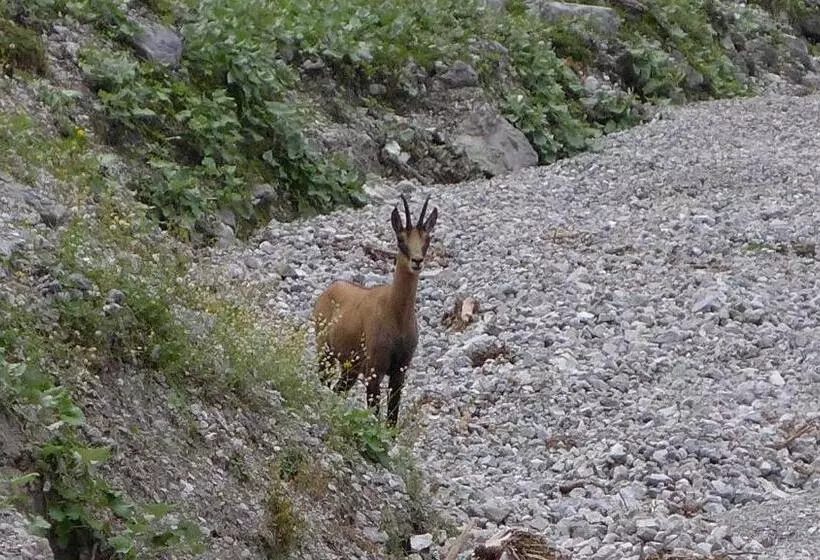 Majatalo Gästehaus Arnspitzblick