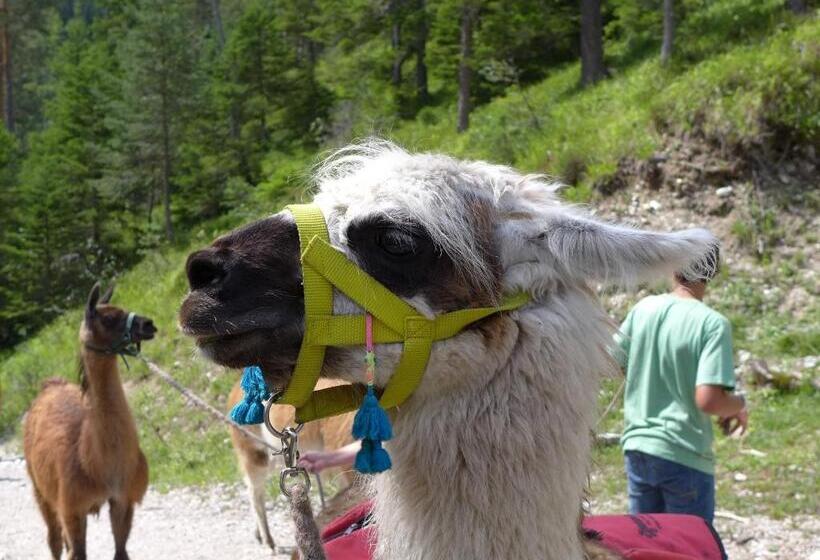 ペンション Gästehaus Arnspitzblick