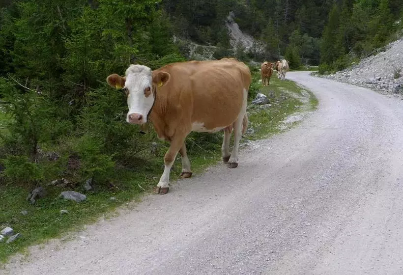 Majatalo Gästehaus Arnspitzblick