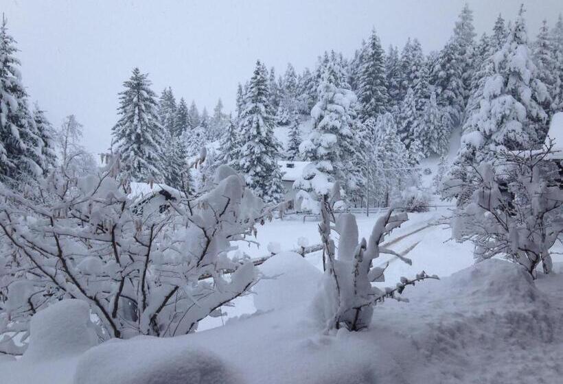 ペンション Gästehaus Arnspitzblick