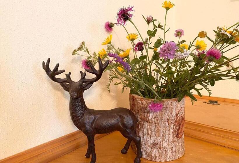 ペンション Gästehaus Arnspitzblick