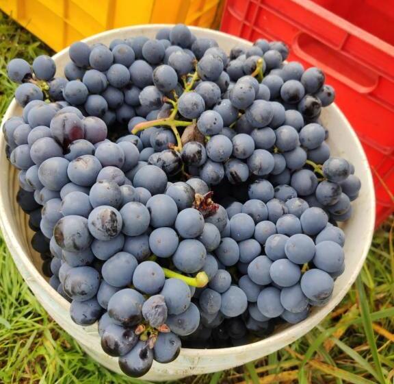 민박 Borgo Lamurese