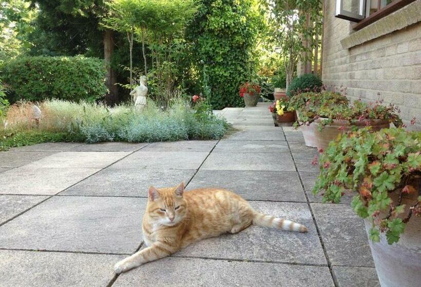 ベッドアンドブレックファースト Cherrybrook