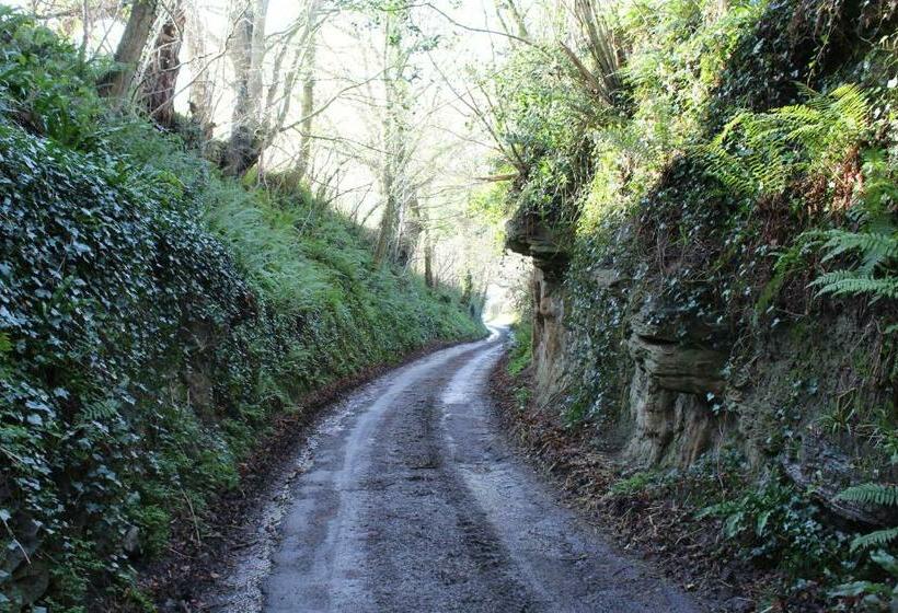 ベッドアンドブレックファースト Cherrybrook