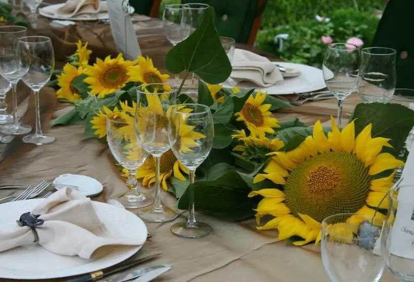 ベッドアンドブレックファースト Chambres Rozies Dunes