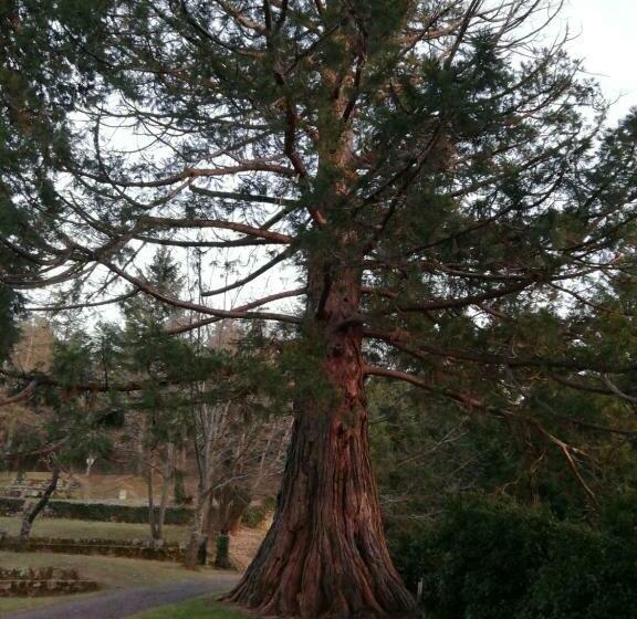 مبيت وإفطار La Grange De La Coste