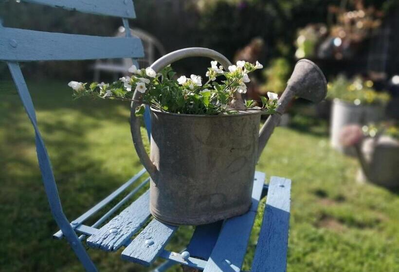 ベッドアンドブレックファースト Maison D Hôtes Les Vallées