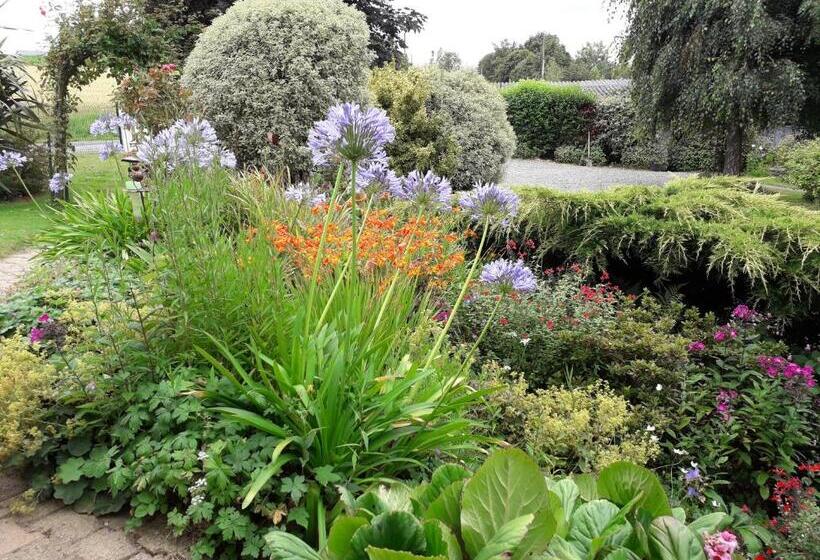 ベッドアンドブレックファースト Maison D Hôtes Les Vallées