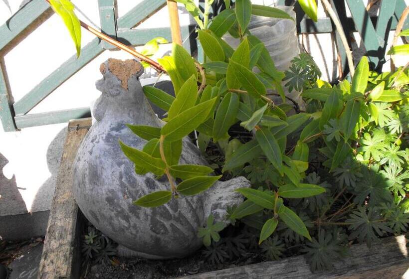 ベッドアンドブレックファースト Maison D Hôtes Les Vallées