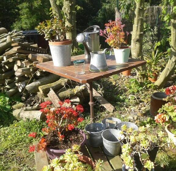 ベッドアンドブレックファースト Maison D Hôtes Les Vallées