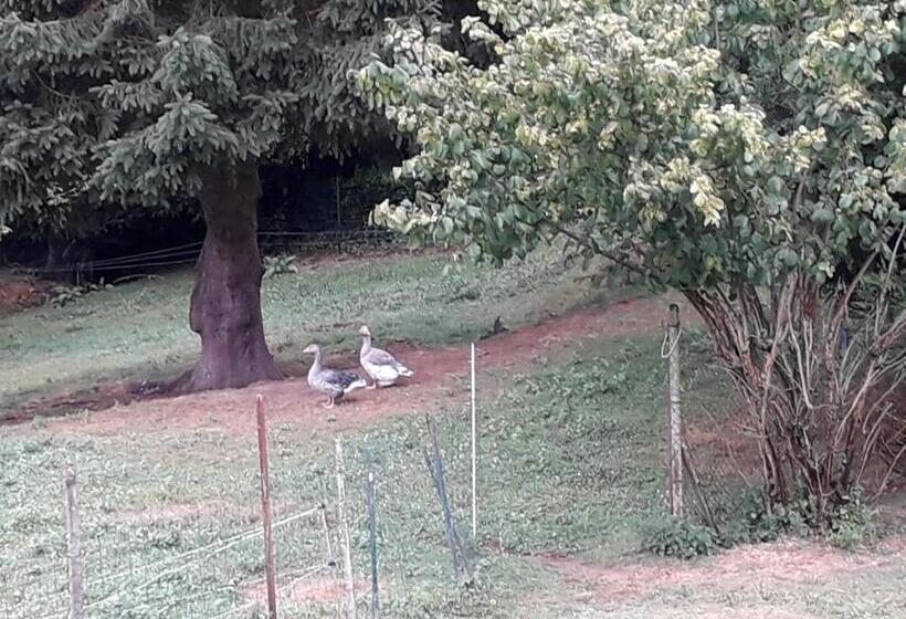 ベッドアンドブレックファースト Maison D Hôtes Les Vallées