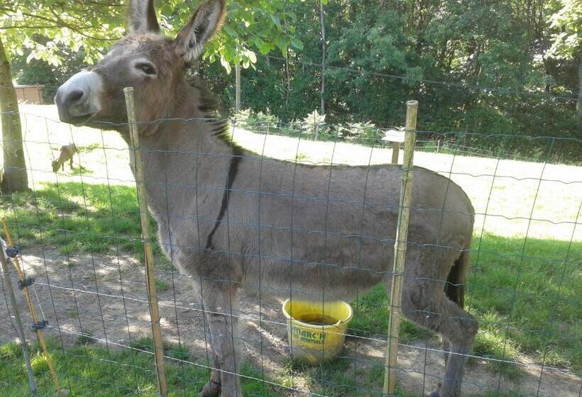 ベッドアンドブレックファースト Maison D Hôtes Les Vallées