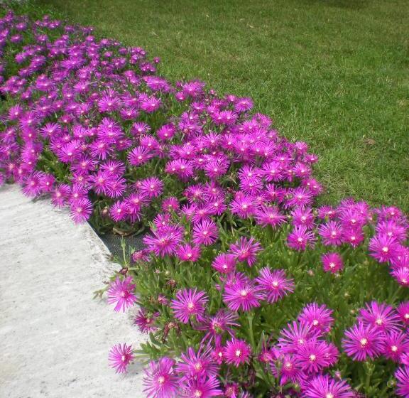 مبيت وإفطار Manoir Larcouillet