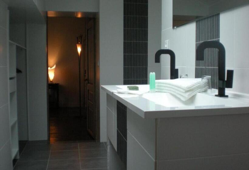 مبيت وإفطار Manoir Larcouillet