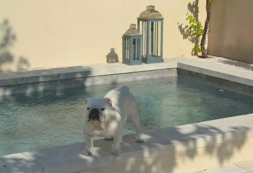 Aamiaismajoitus (B&B) Mas à L Improviste