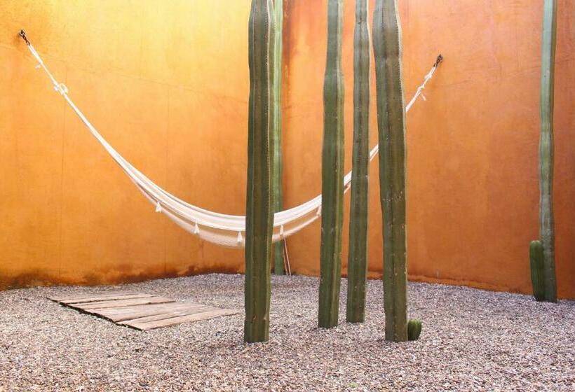 فندق Cosijo San Jeronimo Tlacochahuaya