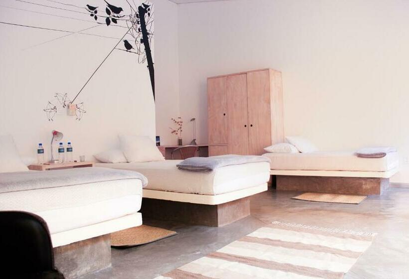 فندق Cosijo San Jeronimo Tlacochahuaya