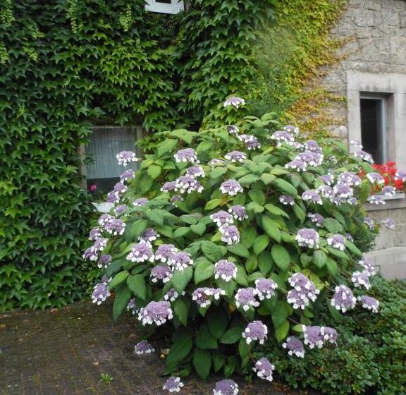 酒店 Westfalenhof Garni